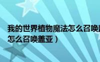 我的世界植物魔法怎么召唤盖亚守护者（我的世界植物魔法怎么召唤盖亚）