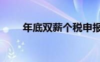 年底双薪个税申报（年底双薪个税）
