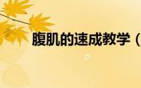 腹肌的速成教学（腹肌的速成方法）