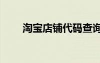 淘宝店铺代码查询（淘宝店铺代码）
