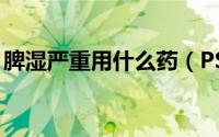 脾湿严重用什么药（PS阈值有什么用怎么用）