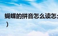蝴蝶的拼音怎么读怎么写（蝴蝶的拼音怎么拼）