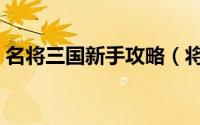 名将三国新手攻略（将爆三国新手攻略大全）
