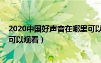 2020中国好声音在哪里可以看啊（2020中国好声音在哪里可以观看）