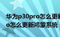 华为p30pro怎么更新鸿蒙系统（华为p30pro怎么更新鸿蒙系统）