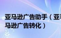 亚马逊广告助手（亚马逊PPC管理软件助力亚马逊广告转化）