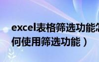 excel表格筛选功能怎么用（Excel 工作表如何使用筛选功能）