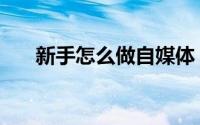 新手怎么做自媒体（新手怎么查字典）