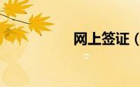 网上签证（港澳通行）
