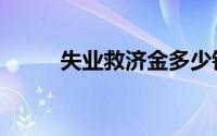 失业救济金多少钱（失业救济金）