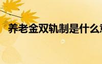 养老金双轨制是什么意思（养老金双轨制）