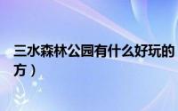三水森林公园有什么好玩的（三水森林公园有什么好玩的地方）