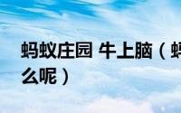 蚂蚁庄园 牛上脑（蚂蚁庄园牛上脑答案是什么呢）