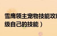 雪鹰领主宠物技能攻略（雪鹰领主手游怎么升级自己的技能）