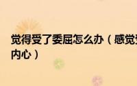 觉得受了委屈怎么办（感觉受委屈了怎么办如何安抚自己的内心）
