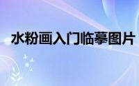 水粉画入门临摹图片（水粉画入门小技巧）
