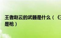 王者赵云的武器是什么（《王者荣耀》中赵云的武器是矛还是枪）