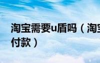 淘宝需要u盾吗（淘宝购物如何使用U盾进行付款）