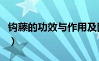 钩藤的功效与作用及图片（钩藤的功效和作用）