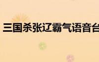 三国杀张辽霸气语音台词（三国杀张辽技巧）
