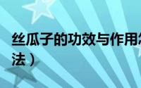 丝瓜子的功效与作用怎么用（丝瓜子的食用方法）