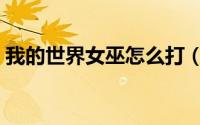 我的世界女巫怎么打（我的世界女巫怎么打）