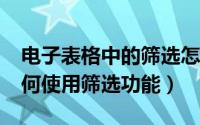 电子表格中的筛选怎么用（Excel电子表格如何使用筛选功能）