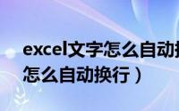 excel文字怎么自动换到下一行（excel文字怎么自动换行）