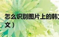 怎么识别图片上的韩文（怎么识别图片上的梵文）