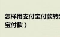 怎样用支付宝付款转到银行卡里（怎样用支付宝付款）
