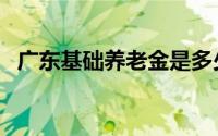 广东基础养老金是多少（广东基础养老金）