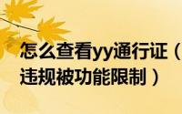 怎么查看yy通行证（怎么查询YY通行证是否违规被功能限制）
