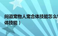 问道宠物人宠合体技能怎么学（《问道》让宠物学习人宠合体技能）