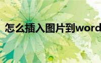 怎么插入图片到word表格（怎么插入图片）