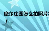 摩尔庄园怎么拍照片素材（摩尔庄园怎么拍照）
