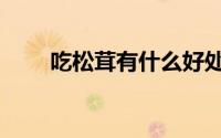 吃松茸有什么好处（吃松茸的禁忌）