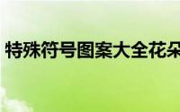 特殊符号图案大全花朵（特殊符号图案大全）
