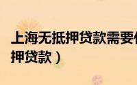 上海无抵押贷款需要什么条件（上海小额无抵押贷款）