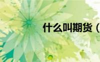 什么叫期货（什么叫期货）