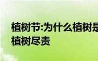 植树节:为什么植树是公民义务公民去哪儿能植树尽责
