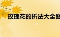 玫瑰花的折法大全图解（玫瑰花的折法）