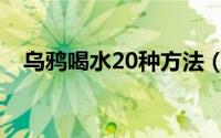 乌鸦喝水20种方法（乌鸦喝水20种方法）