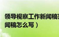 领导视察工作新闻稿范文（领导视察工作的新闻稿怎么写）