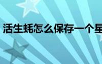 活生蚝怎么保存一个星期（活生蚝怎么保存）