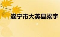遂宁市大英县梁宇（SNS的营销流程）