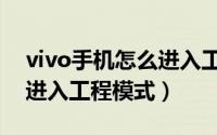vivo手机怎么进入工厂模式（vivo手机怎么进入工程模式）