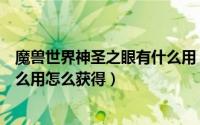 魔兽世界神圣之眼有什么用（魔兽世界完整的恶魔之眼有什么用怎么获得）