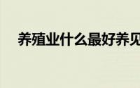 养殖业什么最好养见效快（养殖业贷款）