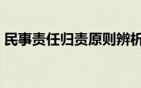 民事责任归责原则辨析（民事责任归责原则）