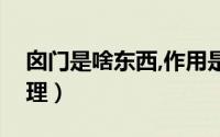 囟门是啥东西,作用是啥（囟门是什么怎么护理）